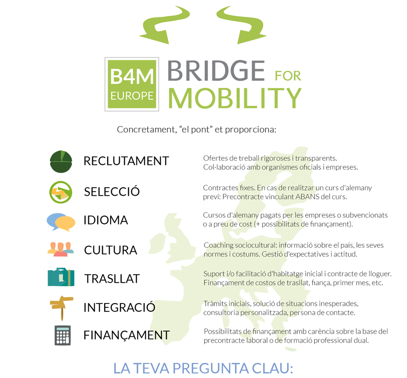 B4M-InfoGFX-CAT-part3